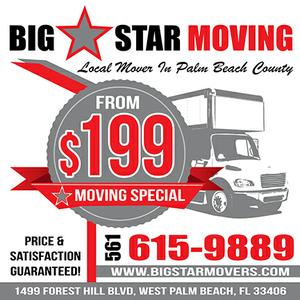 Big Star Services Inc logo