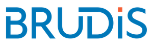 Brudis & Associates, Inc. logo