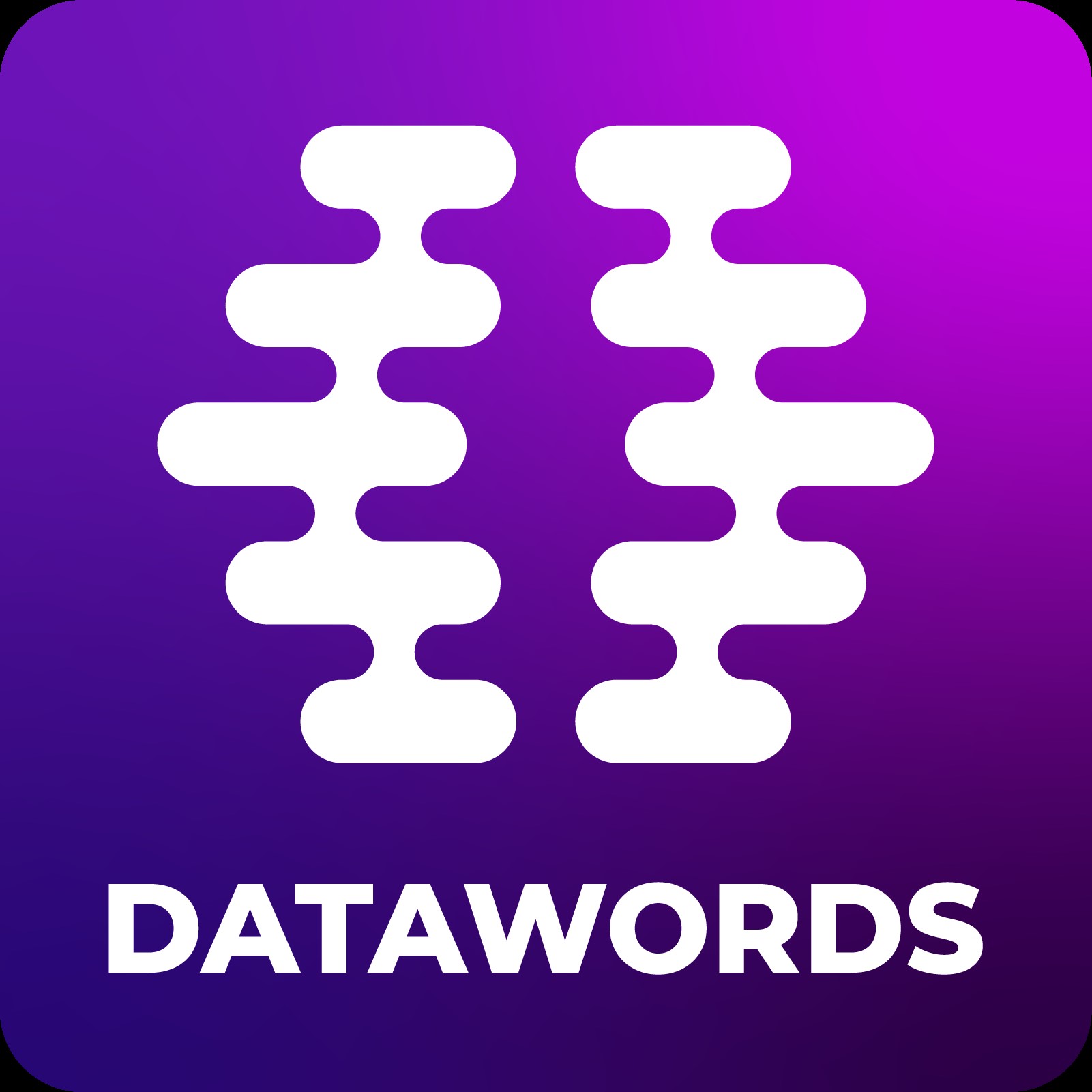 Datawords