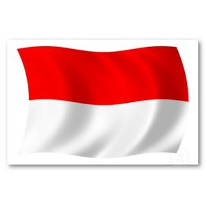 INDONESIAN DIASPORA NETWORK  - WESTERN AUSTRALIA logo