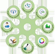 Cnergyis Infotech Pvt Ltd logo